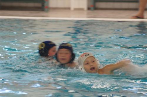 2017-010-01 De Rijn -EG1 - Aqua Novio EG1 (13)