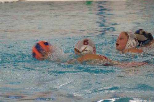 2017-010-01 De Rijn -EG1 - Aqua Novio EG1 (16)