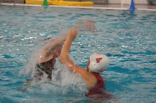 SONY DSC