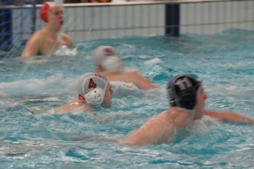 2018-01-27 De Rijn H2 - Polar Bears H4-2