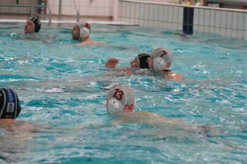 2018-01-27 De Rijn H2 - Polar Bears H4-2